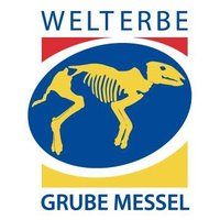 Welterbe Grube Messel(@grubemessel) 's Twitter Profile Photo