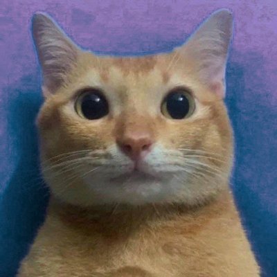 ortegaygattet's profile picture. Are you... are you part of the *homo-sexual underground*?