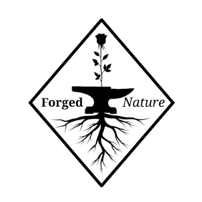 Forged Nature is a small craft business based in Co.Westmeath, Ireland. Specialising in hand forged, nature inspired metal sculptures.