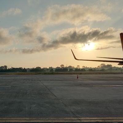 Tontarn69949702's profile picture. 