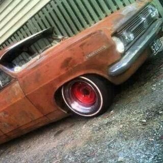 VallerWolf's profile picture. im a down to earth kind of guy  native craftman hunting camping song writing( lyrics only ) reading books painting long walks and im single.