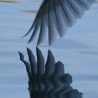 Bern Murphy (@basslinehum) 's Twitter Profile Photo Bern Murphy (@basslinehum) 's Twitter Profile Photo