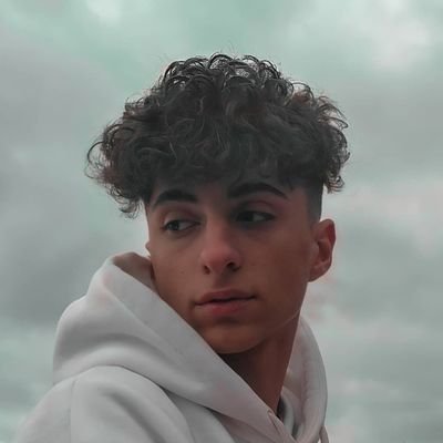 455Modmenu's profile picture.