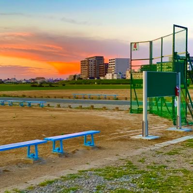 女子プロ野球とか…