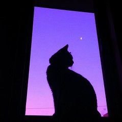 NatsuKs17's profile picture. •Call me Natsu 💜✨ •Infj 🔮 •Escorpio Supremacy 😈 •Instagram: Natsu.k.s.71 •TikTok: Natsu.ks