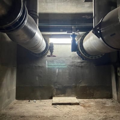 dmdmkuf's profile picture. 