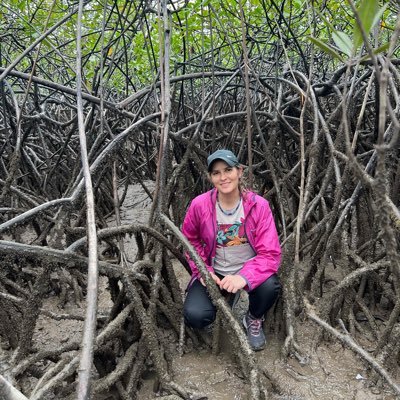 silviacal2176's profile picture. Economista, McGill University; Master Public Administration, Columbia University, Desarrollo Sostenible, Cambio Climatico