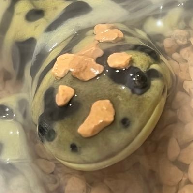marmさんのプロフィール画像