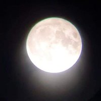 North Notts Evening & Nights Servic (@nottsnightnurse) 's Twitter Profile Photo North Notts Evening & Nights Servic (@nottsnightnurse) 's Twitter Profile Photo