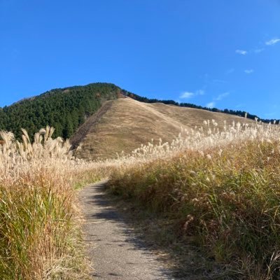 daizin3336's profile picture. 関西→愛知／37歳／地方銀行8年→外資保険2年→不動産仲介1年→税理士法人2年→社労士法人3年目／保有資格： 社労士（2022）宅建（2014）FP2級（2012）簿記2級（2011）／横浜ベイスターズファン／無言フォロー失礼します🙇‍♂️