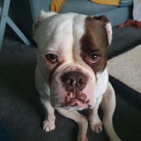 Terri Feeney (@tjfeen) 's Twitter Profile