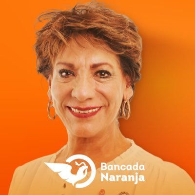 Diputada Federal de la LXV Legislatura, integrante de la @BancadaNaranjaD. Amante de la naturaleza, el arte, el medio ambiente y los derechos humanos. 🧡🇲🇽