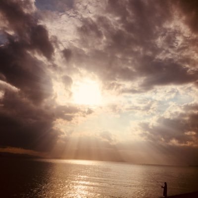 @tomoTt00559051