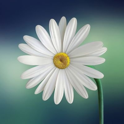 Planil_66's profile picture. 