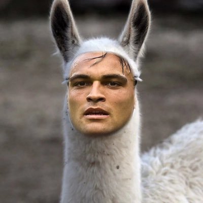 sandro3532's profile picture. AC MILAN