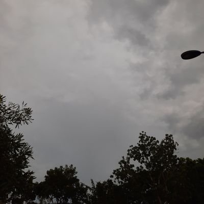 NormaArsyad's profile picture. Musik