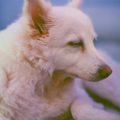 cryptokairi's profile picture. grind and grind