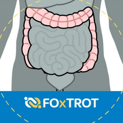 foxtrot-study