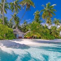 Ray Kurzon (@raykurzon) 's Twitter Profile