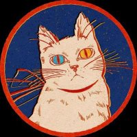 손 규 || Son Kyu || ❤️ Memecoin || (17dark17.near) (@17dark17) 's Twitter Profile