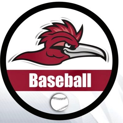 Official Twitter Account of the @RamapoCollegeNJ Baseball Team. 1984 National Champions. 1984, 1988, 2016 NJAC Champions. 13 NCAA Tournament Appearances.