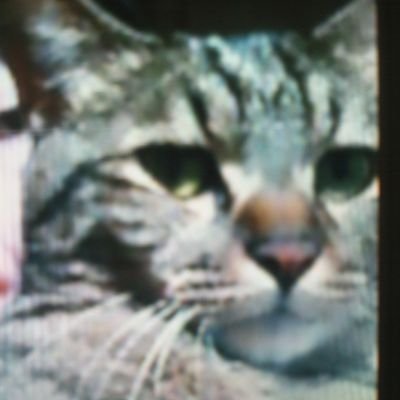 大航海時代on-line、現在休止なう。
スカイリムとFallout4も遊んでます。
信長の野望創造戦国立志伝もプレイしてます。
DMは、対応しません。(`・ω・´)