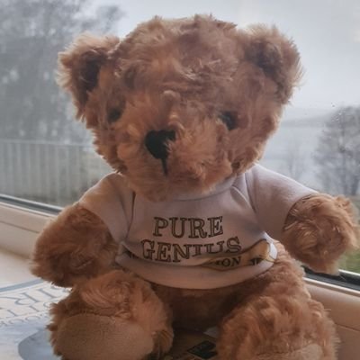 DiegoTBear's profile picture. Diego T. Bear is a brave explorer. He has many friends and many adventures.