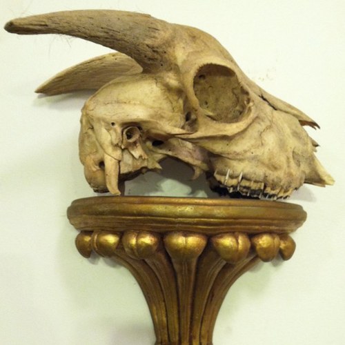 TheIronSociety's profile picture. 