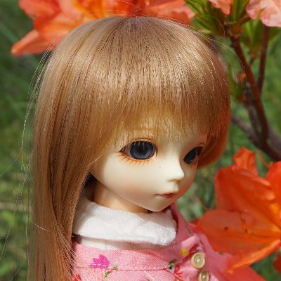 みゃゆさんのプロフィール画像