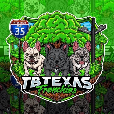 Owner@ TbTexas Frenchies LLC