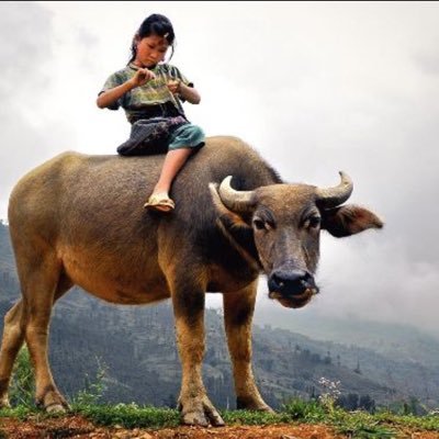 DavidOffba1's profile picture. owner of @Ldombleh & @shimbo54 & @BnwoSophie & @Fanny__Sissy & @sissysluth & @Omarionbnwo & @Kayla_Kandii & @Aqihp826