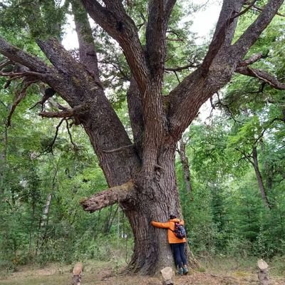 Resiliencia♻️♻️
Wanderlust 🌎
La revolución la hará el pueblo ✊