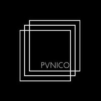 PVNICO(@pvnicomx) 's Twitter Profile Photo