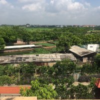 Thảo Vy Ngô (@thovyng5) 's Twitter Profile