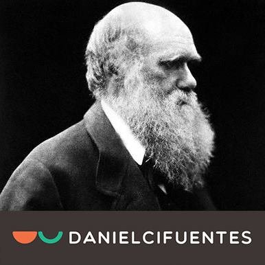 🇪🇨 🇨🇷
Odontólogo, Especialista en una cosa que nadie sabe qué significa.