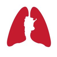 Asociación Argentina de Medicina Respiratoria (@twitaamr) 's Twitter Profile Photo Asociación Argentina de Medicina Respiratoria (@twitaamr) 's Twitter Profile Photo
