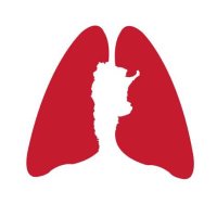 Asociación Argentina de Medicina Respiratoria(@twitaamr) 's Twitter Profile Photo