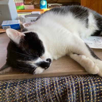 Heisenberg_0101's profile picture. Valorant/Clove
Overwatch/Doomfist

webとかのエンジニア