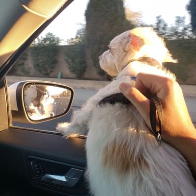 28, nb
🔞
#ActuallyAutistic dx'd at 25. Long term anxiety and depression. vegan, socialist.
Want to help the world but idk how | chatter flippyJAM on twitch