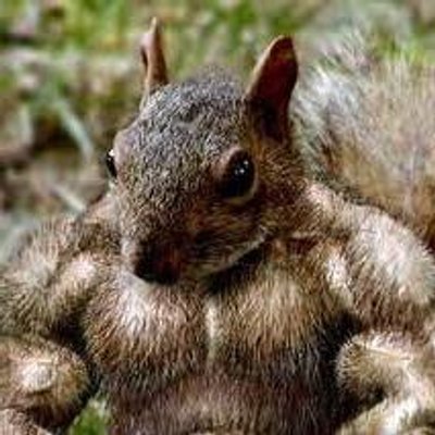 Scapa81580334's profile picture. 