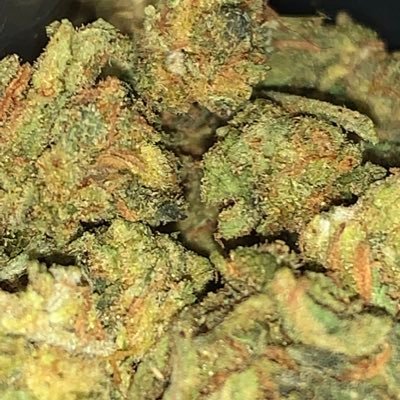 b0batz's profile picture. 𝕜𝕚𝕗𝕗𝕜𝕣𝕒𝕦𝕥𝕖𝕟𝕥𝕙𝕦𝕤𝕚𝕒𝕤𝕥𝕖𝕟