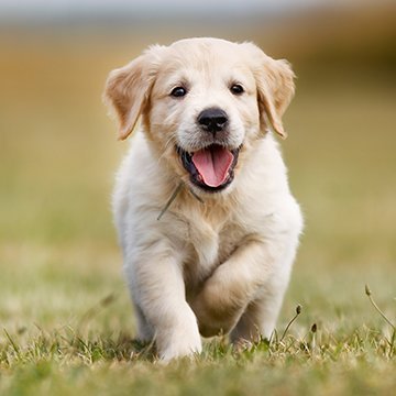 cynthia90144328's profile picture. 