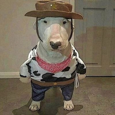 keeemyaaastaaal's profile picture. более известен под заморским именем с знаком вопроса в конце, но кому оно нужно здесь