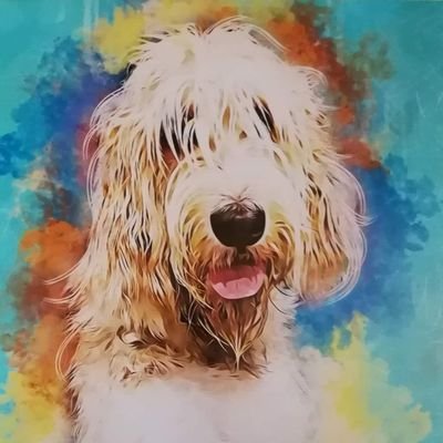 hermanddebby's profile picture. 