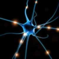 Neuron (@neurogym) 's Twitter Profile