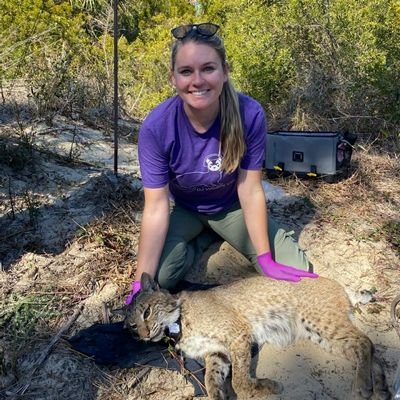 PhD Candidate @ClemsonCAFLS | Coastal bobcat ecology and non-target rodenticide exposure in the southeastern US | MS @unrCABNR