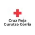 Cruz Roja Gipuzkoa (@CruzRojaGip) Twitter profile photo