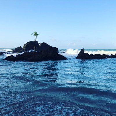 ateuaovento's profile picture. ATEUAOVENTO