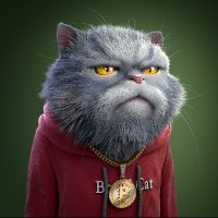 BoredCat (@bcatnft) Twitter profile photo