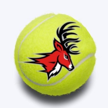 Welcome to the official page of the HCHS Men's and Women's Tennis Team.